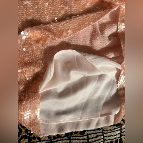 Ann Taylor Loft Sequin Skirt Iridescent Peach (6) - Picture 3 of 7